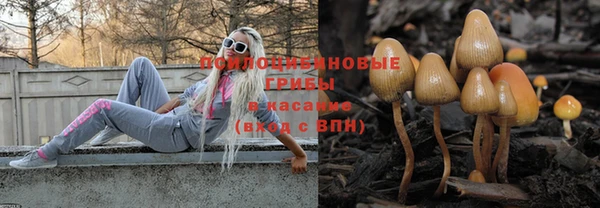 spice Абдулино