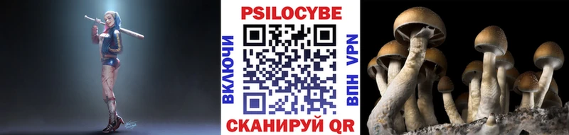 Псилоцибиновые грибы Magic Shrooms даркнет сайт Абаза